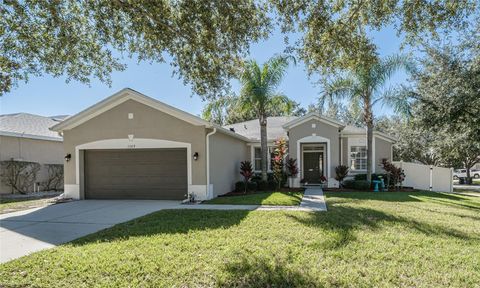 11329 BRIDGE PINE DRIVE RIVERVIEW FL 33569