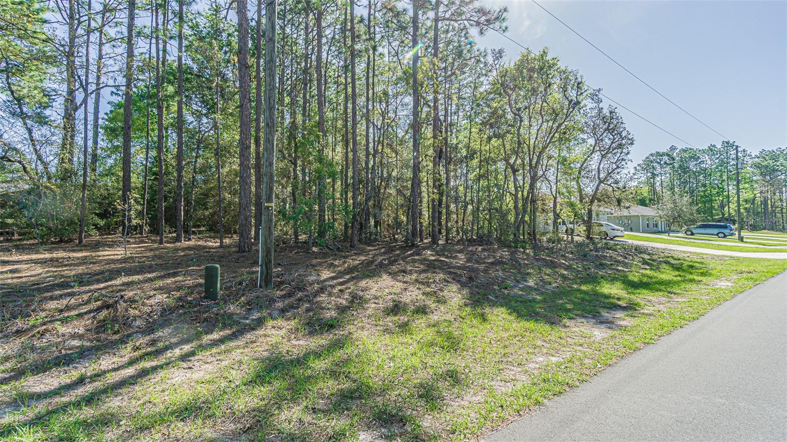 CITRUS SPGS UNIT 01 - Land