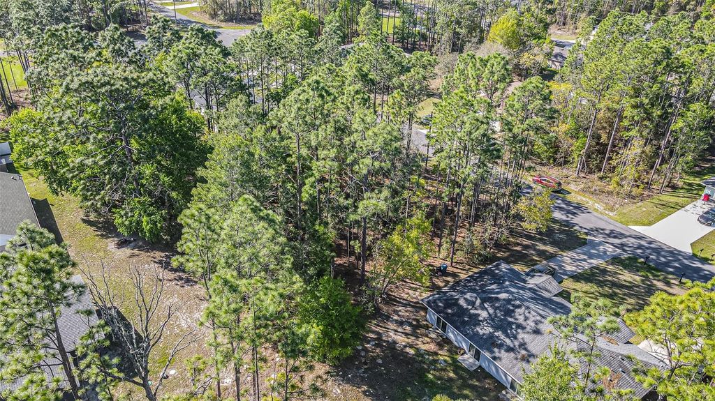 Photo of 9411 N Mendoza Way, Citrus Springs, FL 34434 (MLS # TB8488990)