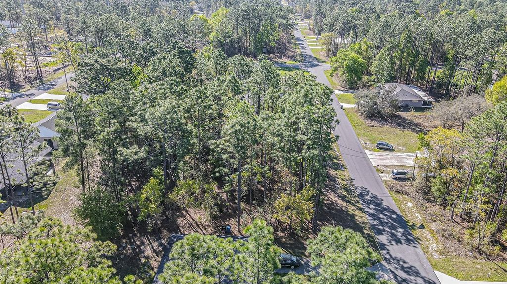 Photo of 9411 N Mendoza Way, Citrus Springs, FL 34434 (MLS # TB8488990)