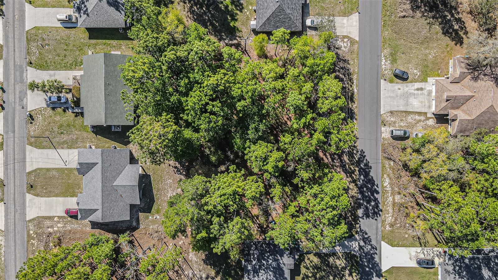 CITRUS SPGS UNIT 01 - Land