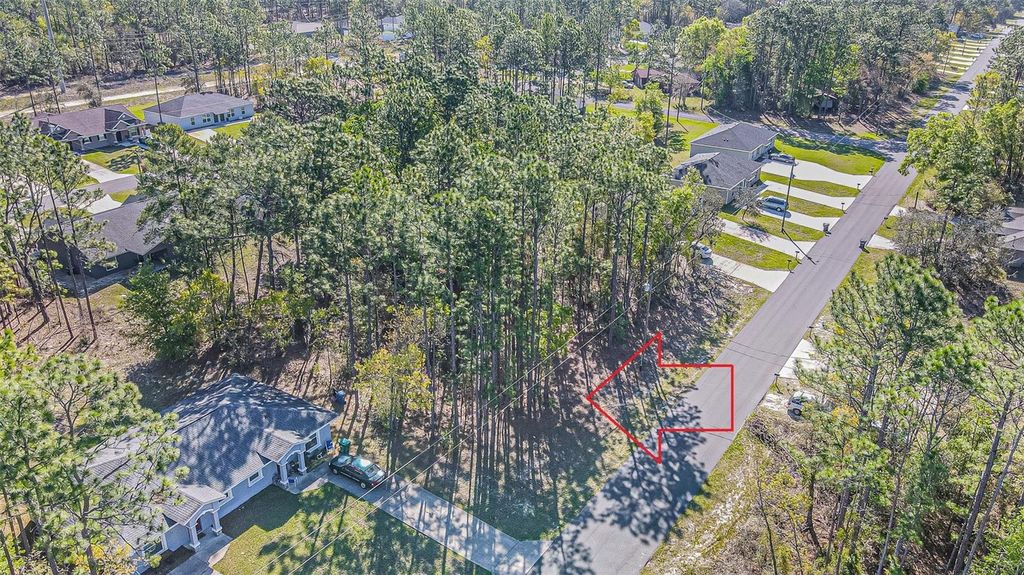 Photo of 9411 N Mendoza Way, Citrus Springs, FL 34434 (MLS # TB8488990)