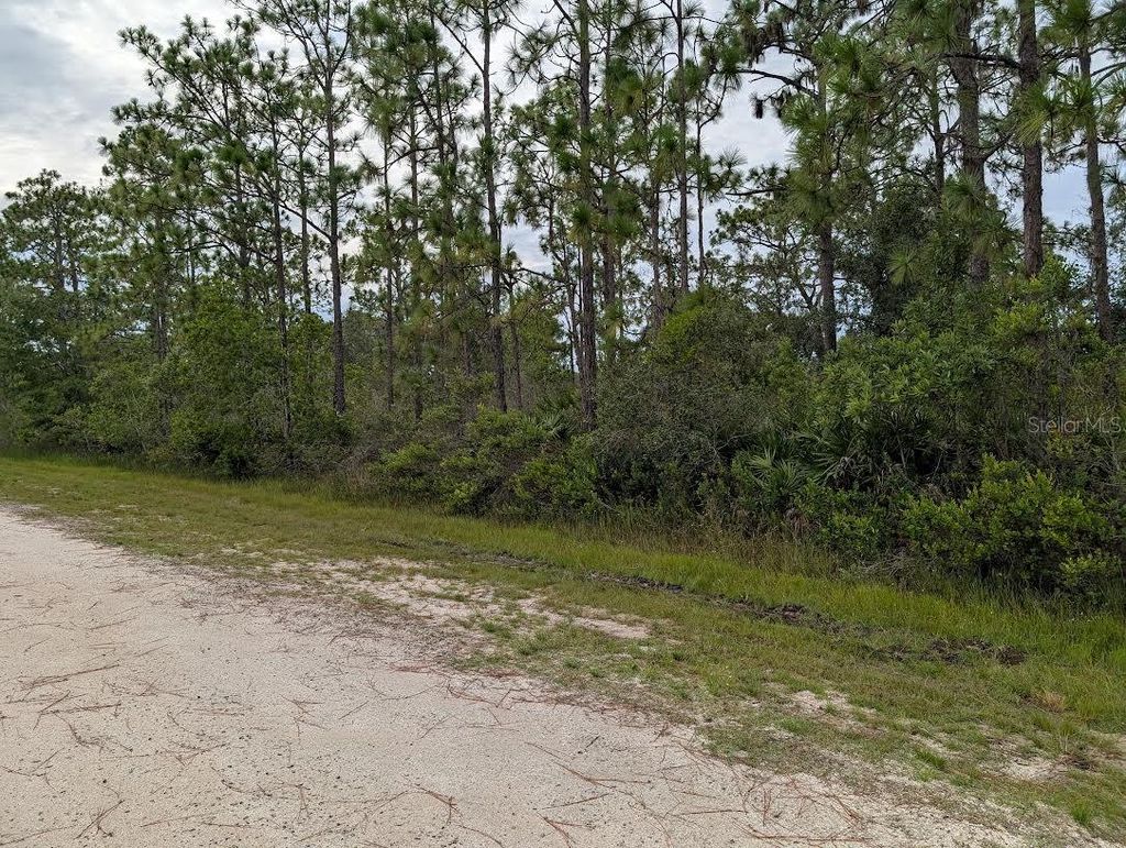 Photo of 408 Azalea Drive, Indian Lake Estates, FL 33855 (MLS # TB8415328)