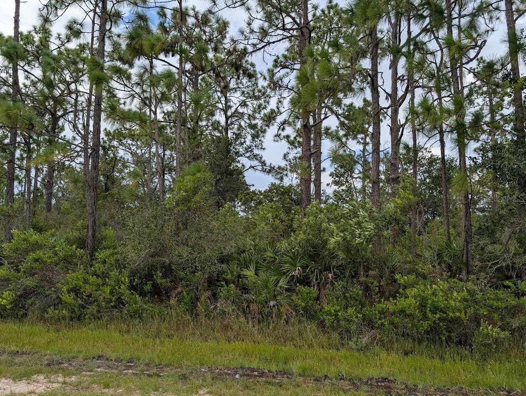 Photo of 408 Azalea Drive, Indian Lake Estates, FL 33855 (MLS # TB8415328)