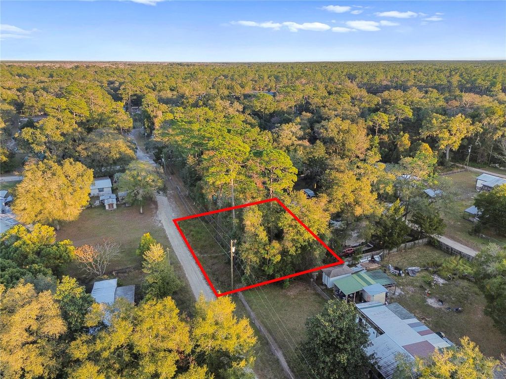 Photo of 000 NE 131st Lane, Salt Springs, FL 32134 (MLS # OM715527)