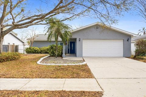 9267 92ND WAY SEMINOLE FL 33777