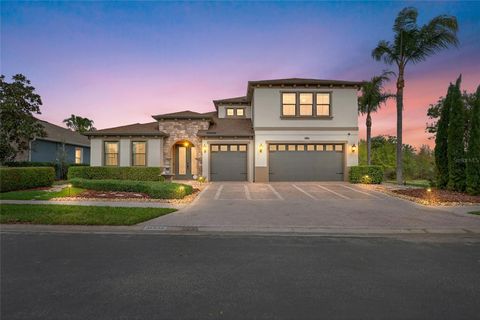 31335 DRISCOLL DRIVE WESLEY CHAPEL FL 33543