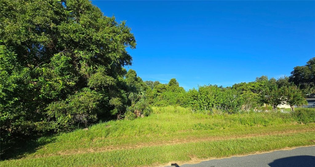 Photo of 1056 Shawnda Lane, Kissimmee, FL 34744 (MLS # S5135427)