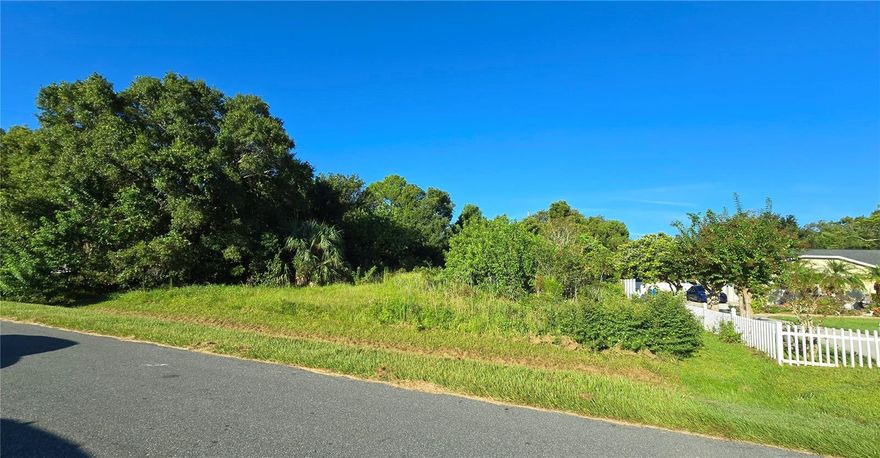 Don’t miss this rare opportunity to own a beautiful 0.59-acre vacant lot in a highly desirable area of Kissimmee! This spacious lot, located on a quiet cul-de-sac street, offers the perfect setting to build your dream home or invest in prime real estate. The property it's ready, just bring your plans!
Enjoy the privacy and minimal traffic thanks to the cul-de-sac location. With NO HOA restrictions, you’ll have the freedom to design and build a home that suits your lifestyle without extra fees or limitations.
This is the only available lot on the street, making it a truly unique and valuable find in an established neighborhood. Conveniently located near major roadways, shopping, dining, and top-rated schools, this property offers both tranquility and accessibility.
Whether you’re ready to build your dream home or invest in valuable land in a growing area, this lot is a must-see. Schedule your showing today — opportunities like this don’t last long!