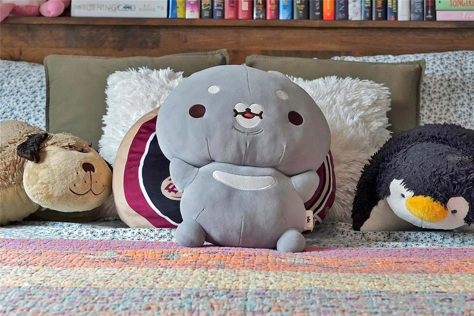 ST IVES - Residential