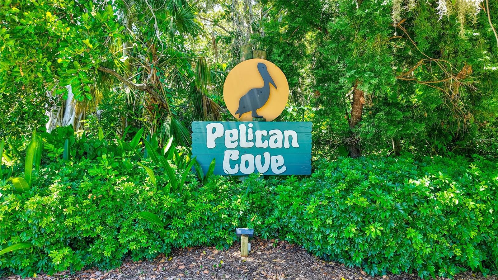PELICAN COVE XVI - Residential