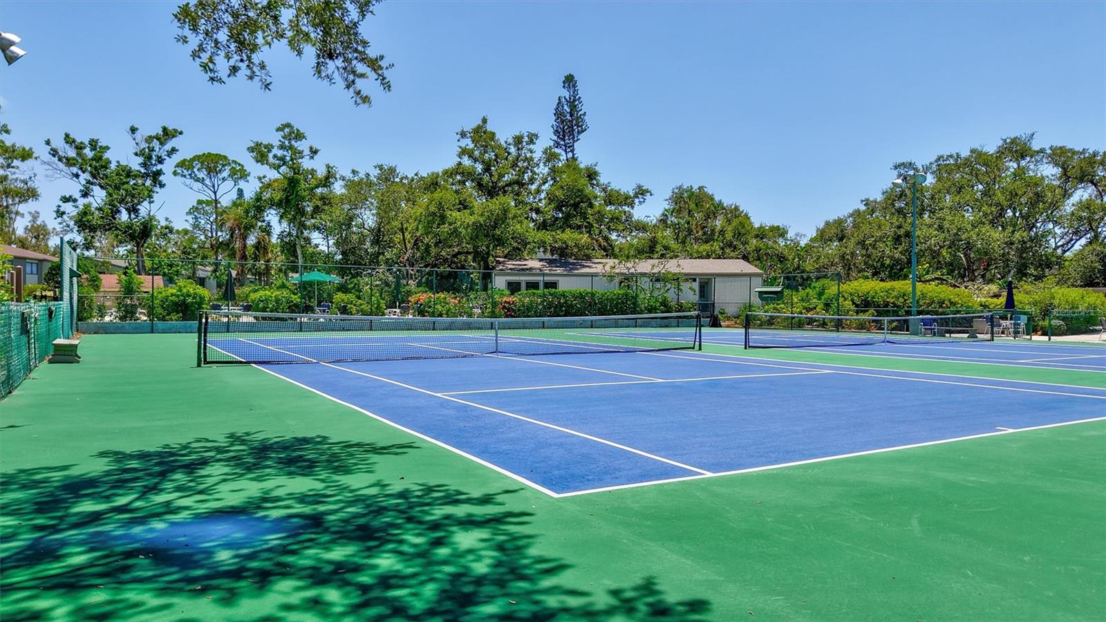 PELICAN COVE XVI - Residential