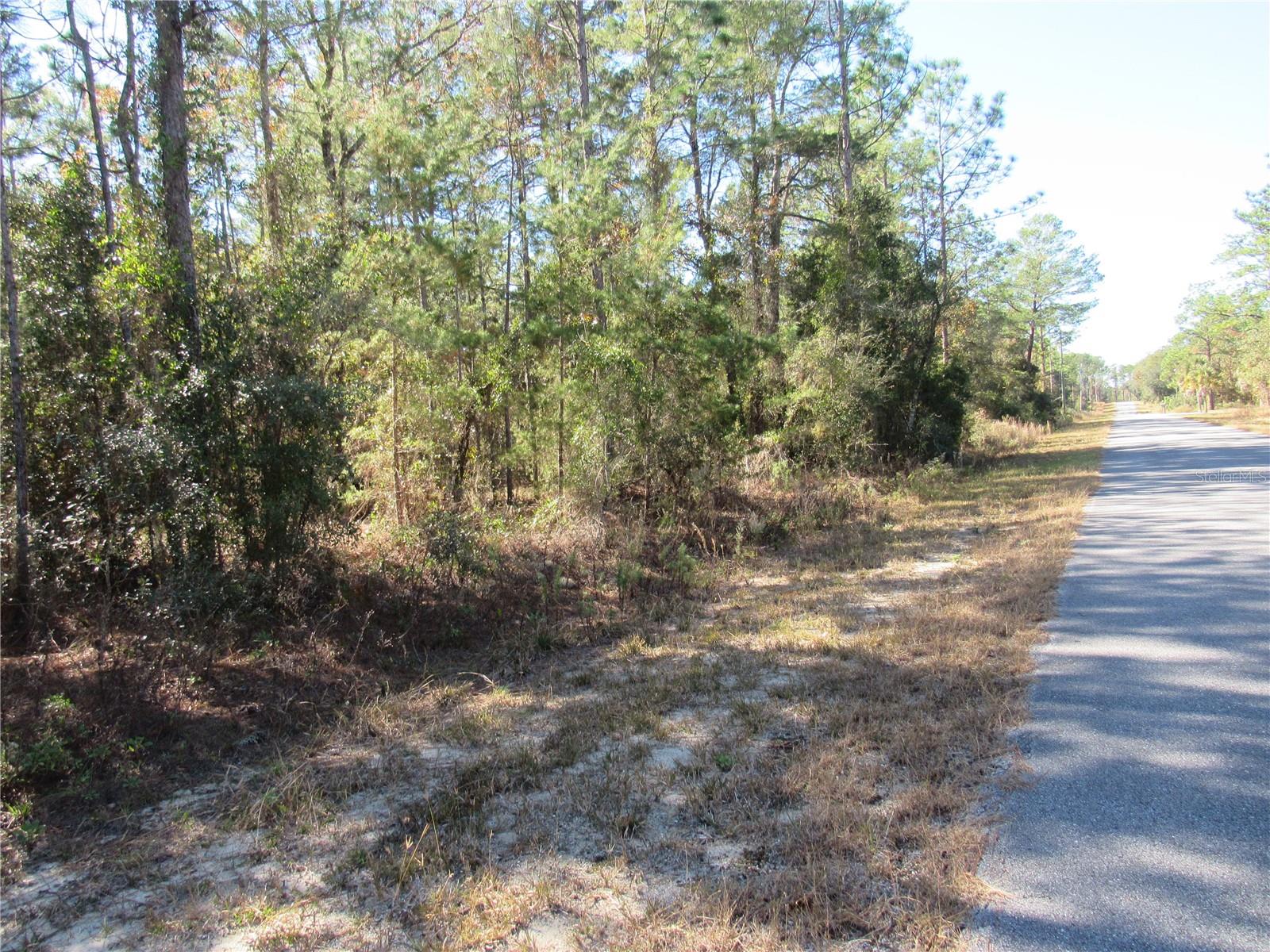 Beautiful One-Acre (.99) New Construction Build Site Available In Lovely Rainbow Lakes Estates Community. Perfect Opportunity For You To Build Your Florida Dream Home Now Or Purchase and Hold. Rainbow Lakes Estates Is an Outdoorsman Paradise and Located On the Nature Coast of Florida Conveniently Located Within 20-40 Minutes Circle To Crystal River & The Gulf of Mexico, Inverness, Ocala & Gainesville For Extended Shopping, Dining & The Best of Entertainment! Rainbow Lakes Estates Where This Property Is Located Is an Established Popular Community With New and Existing Homes and Vacant Land Sites For New Construction and Is Just Minutes To Historic Dunnellon, Our Local Town Square Built Around The Famous Rainbow and Withlacoochee Rivers Plus; In Just Minutes, Cast a Line on Lake Rousseau, Popular Fishing Capitol For The Large-Mouth Bass! This Property is just a few minutes Drive To The Award Winning Rainbow Springs State Park Where the Famous Rainbow River Begins, Providing Swimming, Snorkeling, Kayaking, Nature Trails, Canoeing + More..Also Centrally Located To Halpata Tastanaki Nature Preserve and The Goethe State Forest Plus Just 25 Minutes To The New World Equestrian Center Located In Ocala, FL. Hike the Many Fabulous Trail-Heads Of The Magnificent Florida Greenway that Runs Right Through Dunnellon!! Private Boat Ramp Available For Rainbow Lakes Estates Residents on Tiger Lake + Paved Roads, R-1 Site Built Homes, No HOA Fee. Call Now and Secure This Beautiful One-Acre (.99) New Build Site For Your Florida Dream Home In This Amazing Slice Of Paradise In The Sunny Part of What We Call "Old Florida"!!