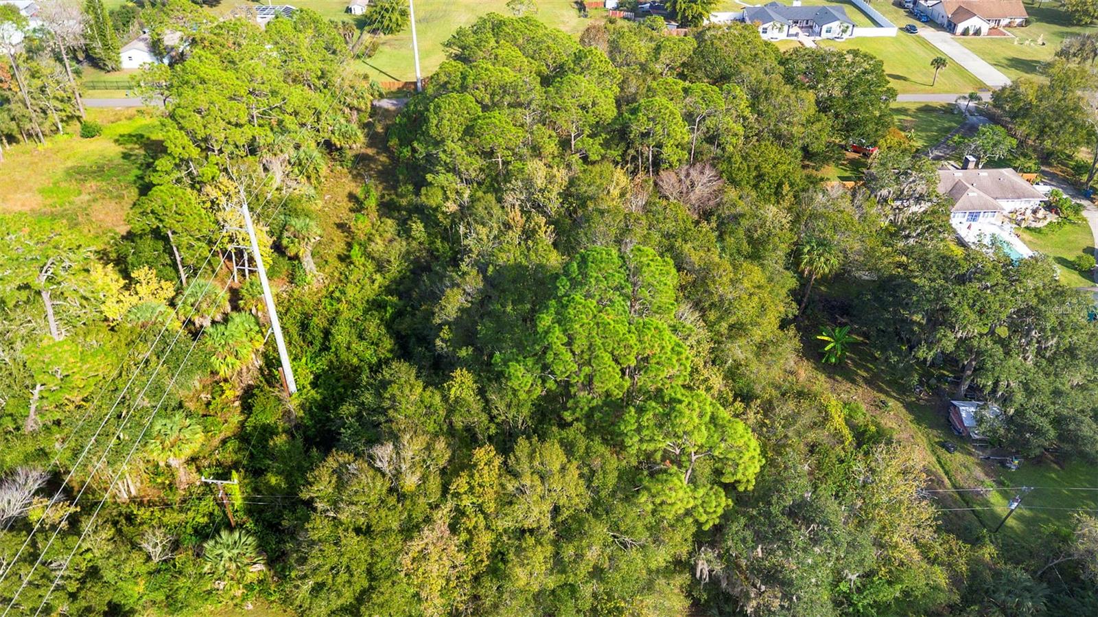 ASSESSORS BETTS GRANT - Land