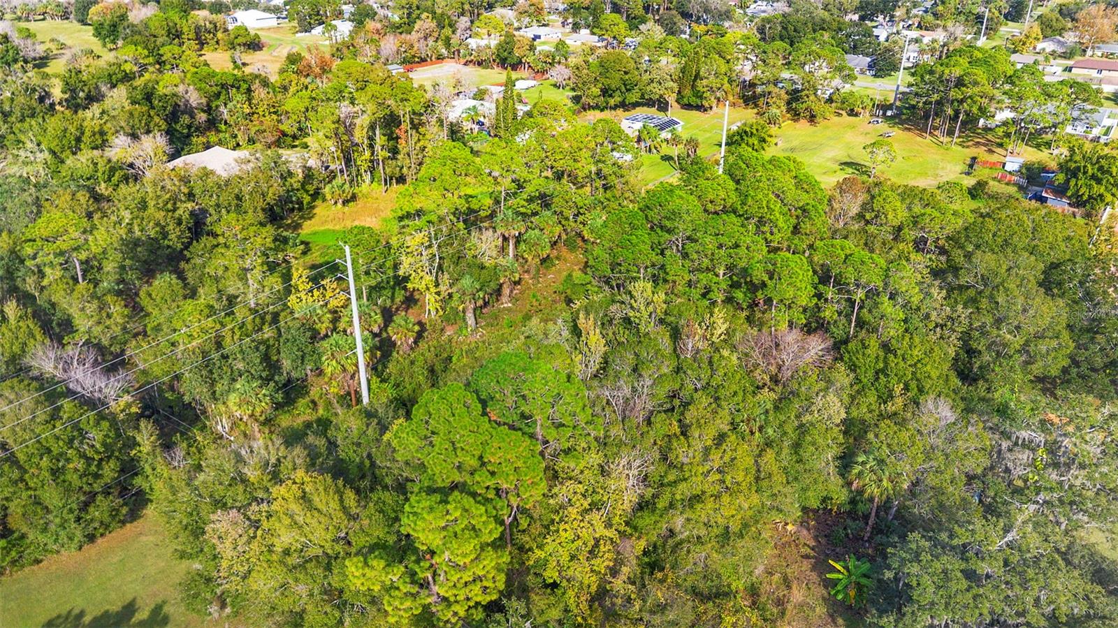 ASSESSORS BETTS GRANT - Land