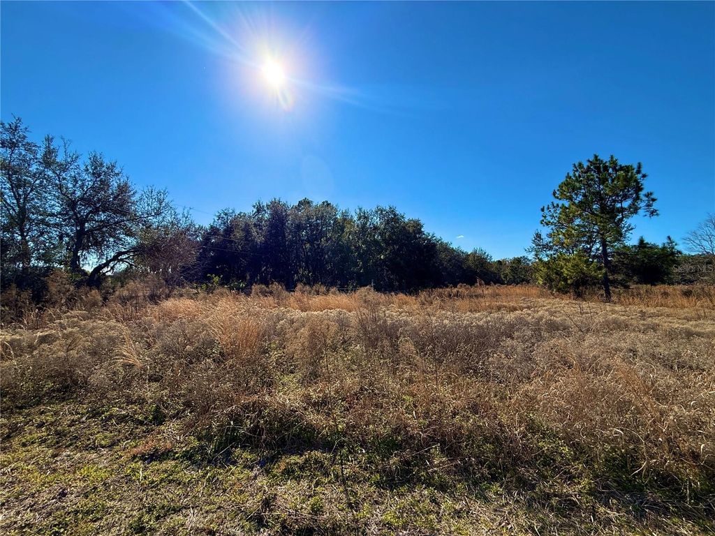 Photo of 2546 W Beresford Avenue, Deland, FL 32720 (MLS # S5143985)