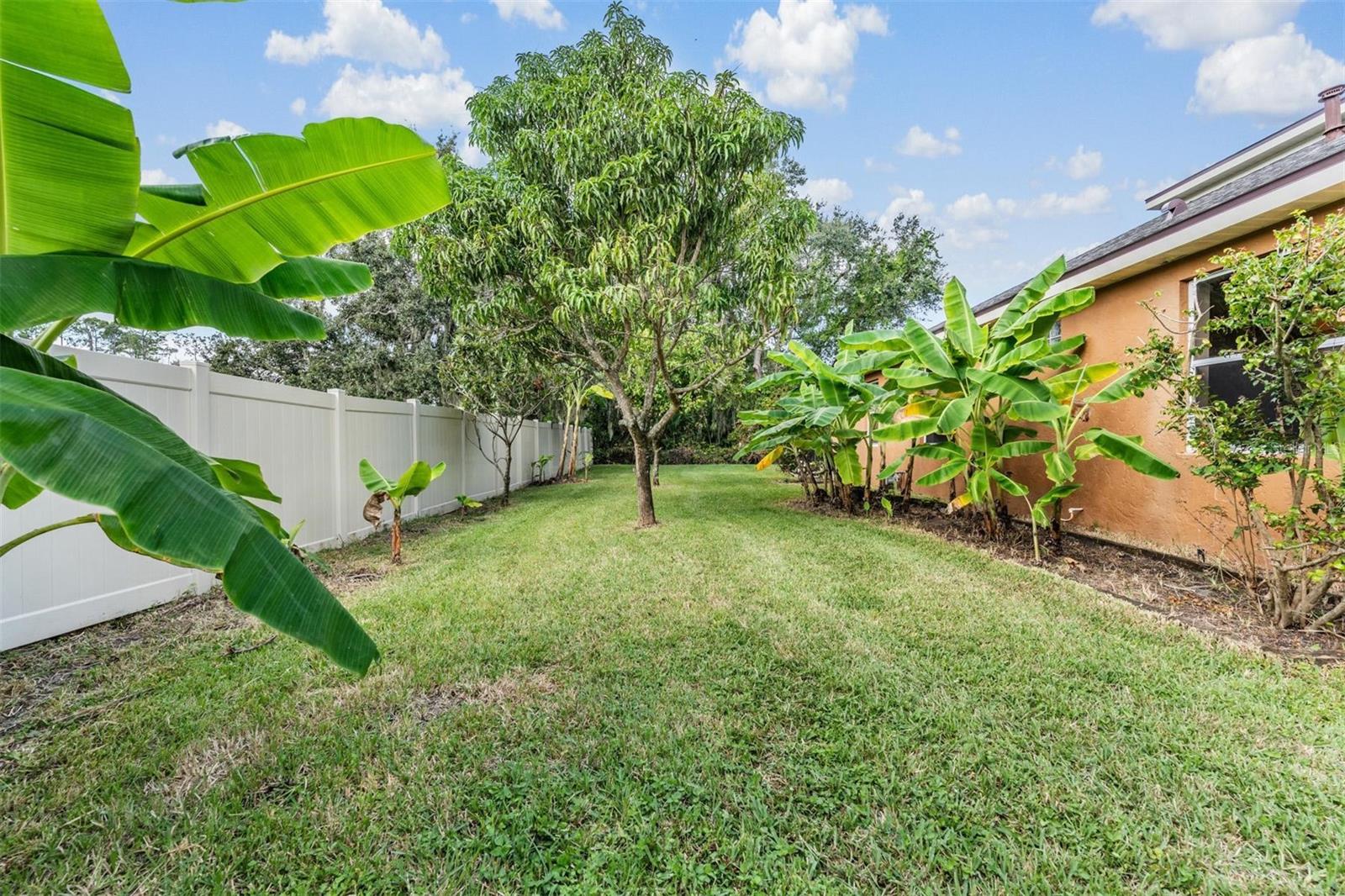 SECLUDED OAKS - Residential