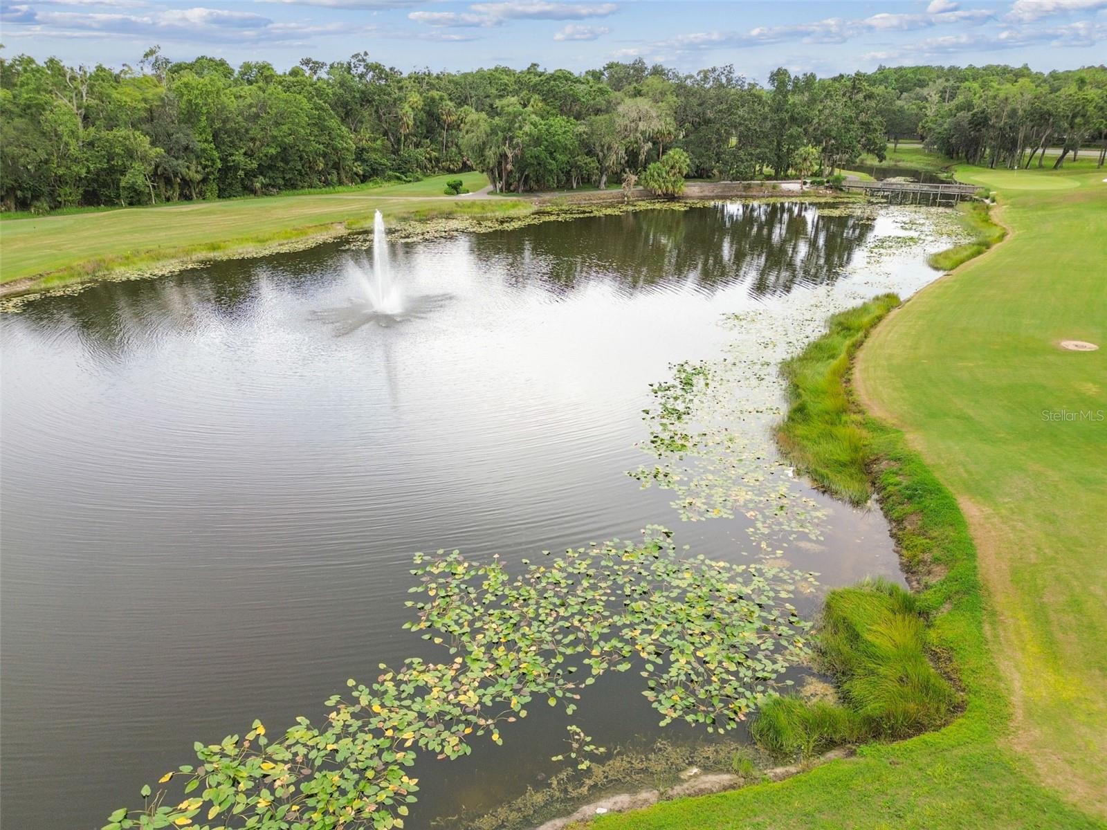 TAMPA PALMS UNIT 3B A REP - Residential