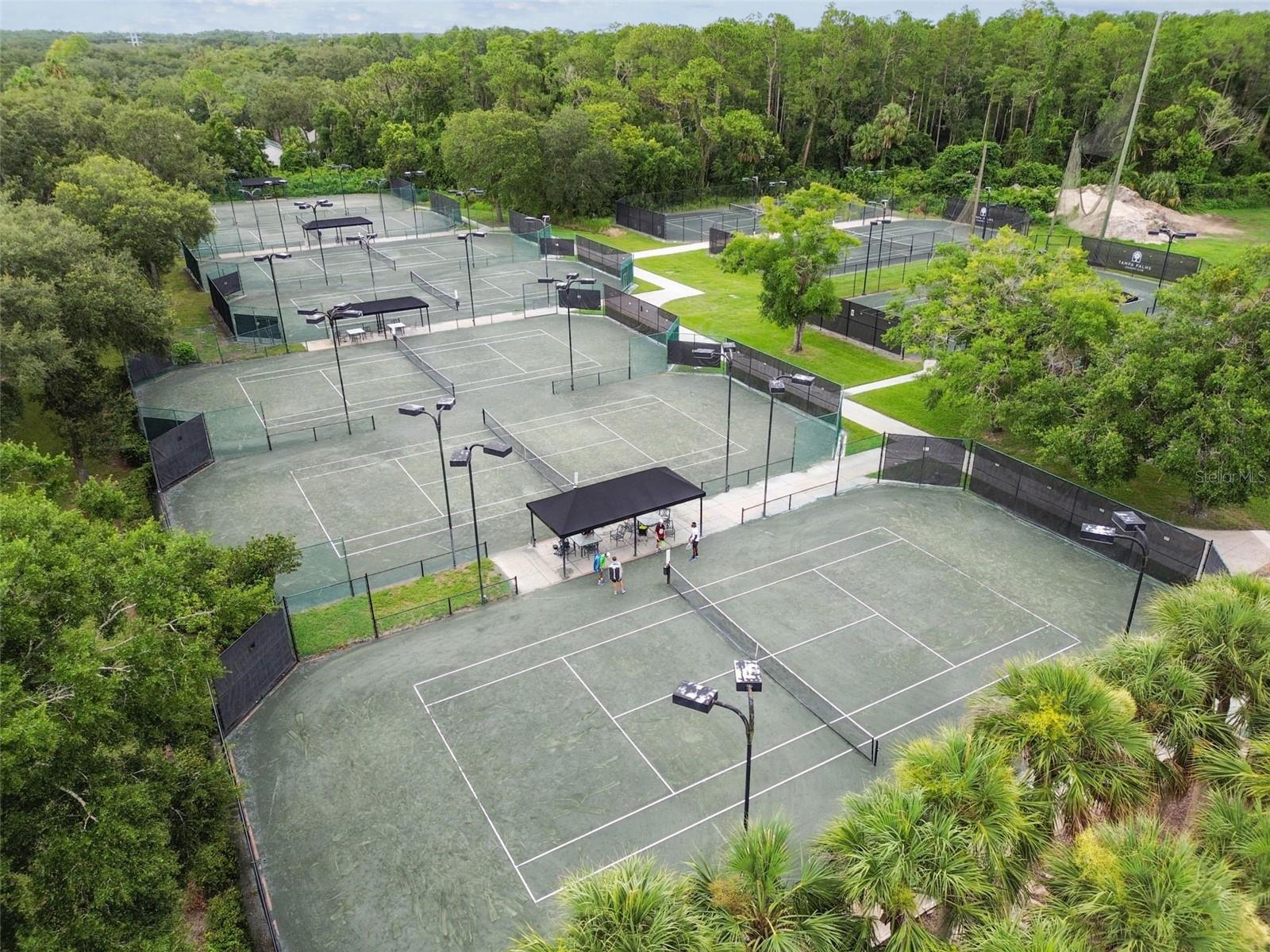 TAMPA PALMS UNIT 3B A REP - Residential