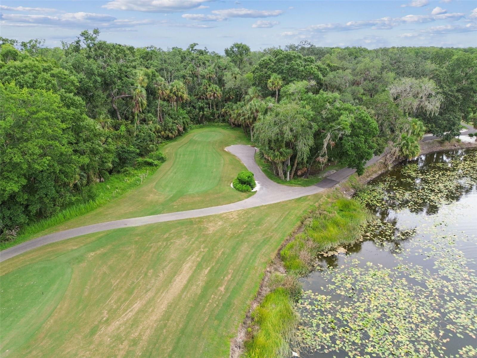 TAMPA PALMS UNIT 3B A REP - Residential