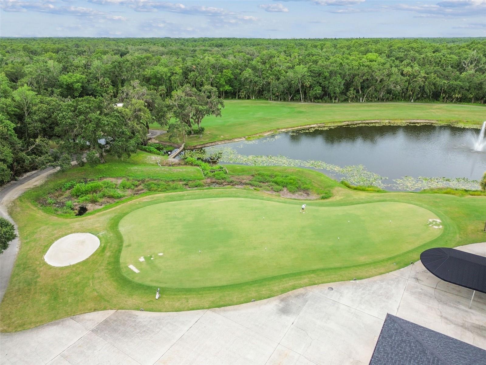 TAMPA PALMS UNIT 3B A REP - Residential