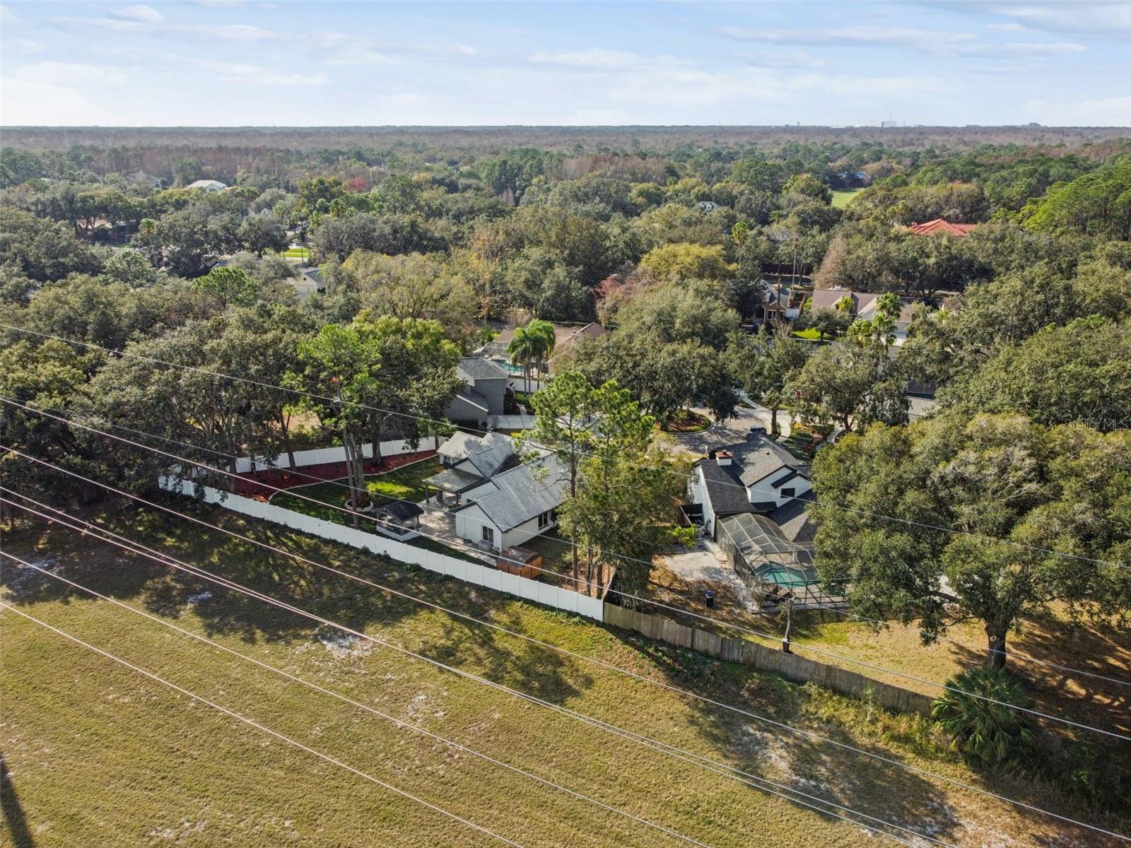 TAMPA PALMS UNIT 3B A REP - Residential