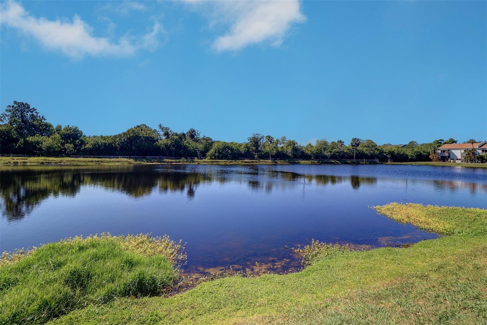 PEPPERTREE LAKE CONDO BLDG 24,SUITE 2401 TOGETHER - Residential