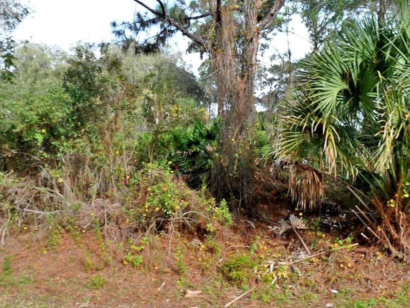 PORT CHARLOTTE SUB 29 - Land