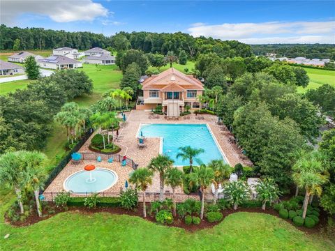 A home in MOUNT DORA