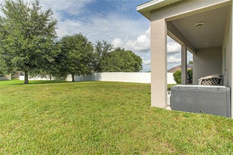 A home in MOUNT DORA