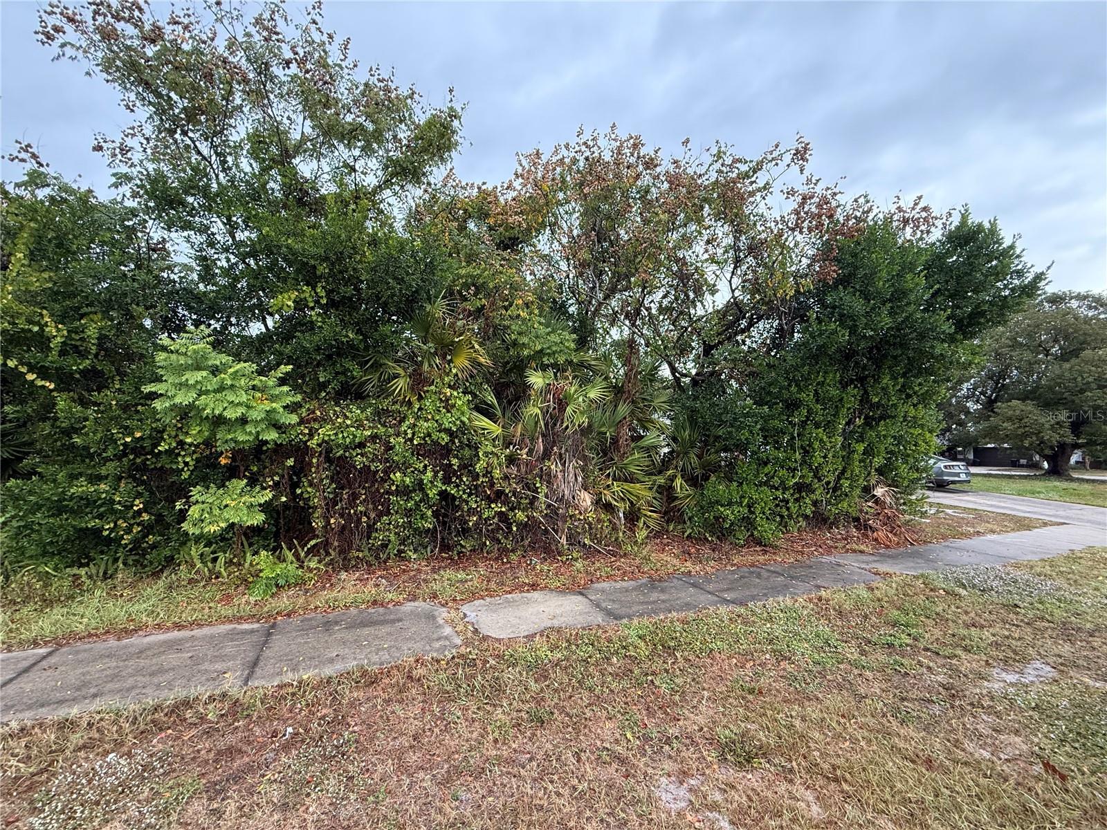DELTONA LAKES UNIT 32 - Land