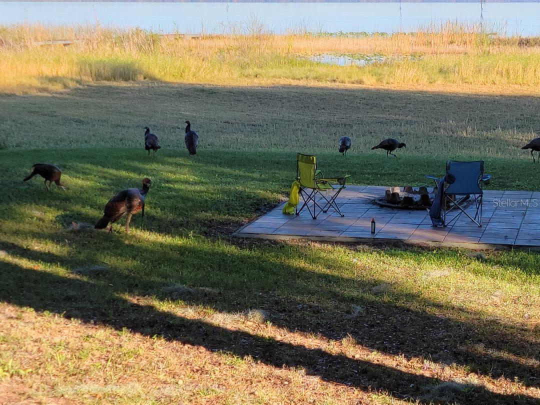 SOUTH SHORE OAKS REP - Land