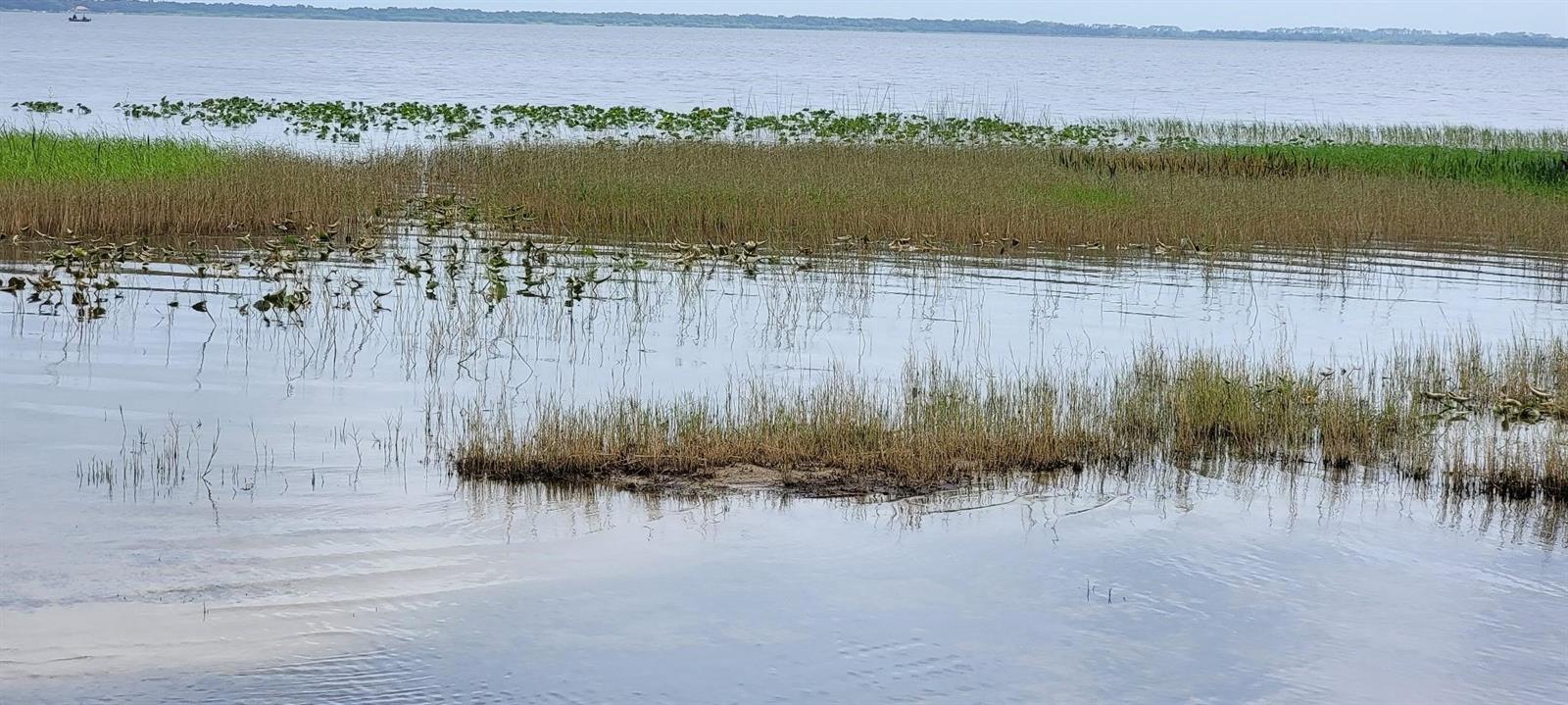 SOUTH SHORE OAKS REP - Land