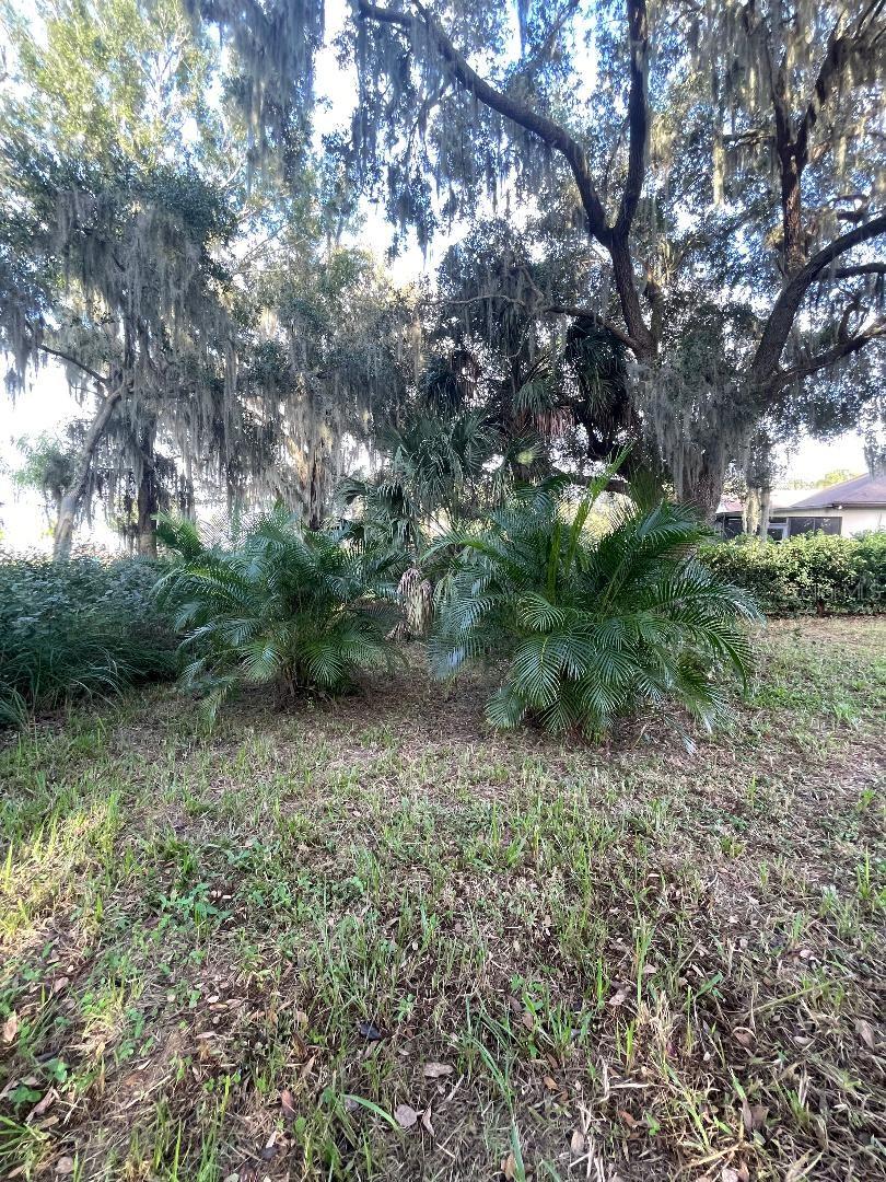 SOUTH SHORE OAKS REP - Land