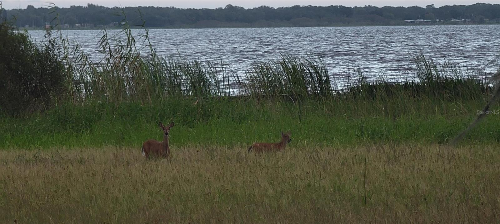 SOUTH SHORE OAKS REP - Land