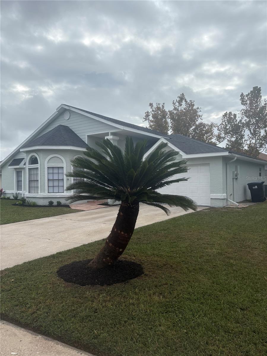 MEADOW WOODS VILLAGE 9 PH 2 - Residential