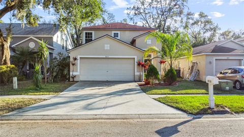 A home in TEMPLE TERRACE