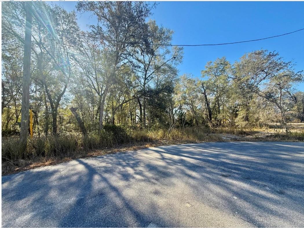 SILVER SPGS SHORES UN 32 - Land