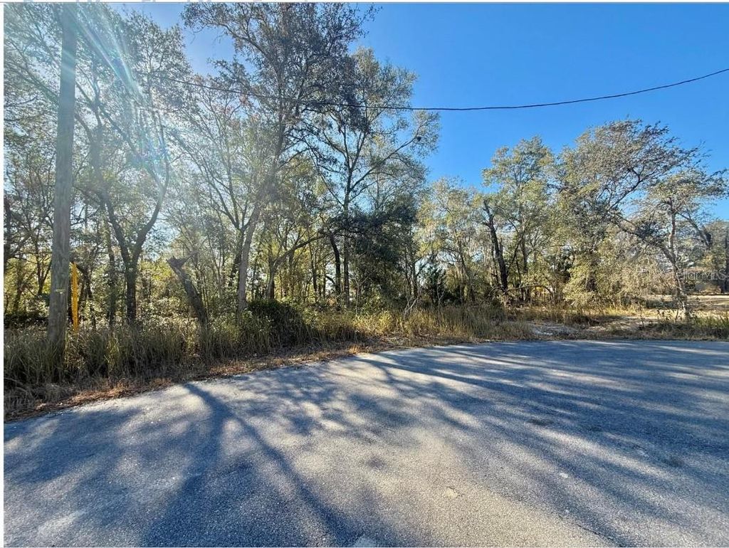 Photo of 35 Locust Pass Court, Ocala, FL 34472 (MLS # OM723099)