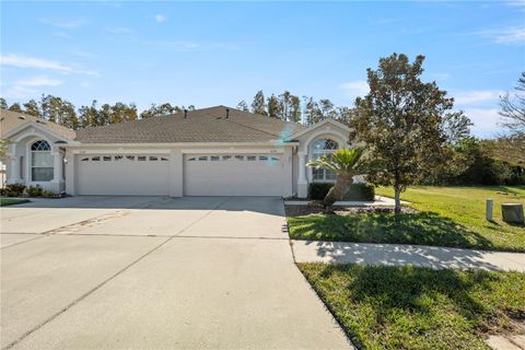 A home in LAND O LAKES