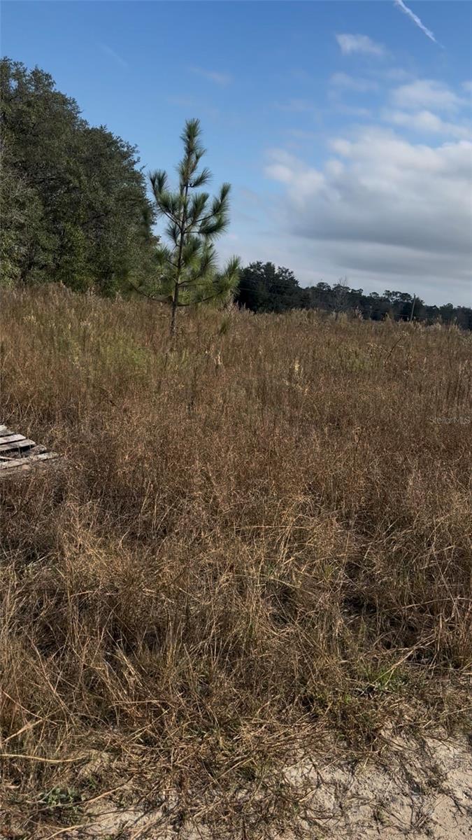 RAINBOW PARK UNIT 3 - Land