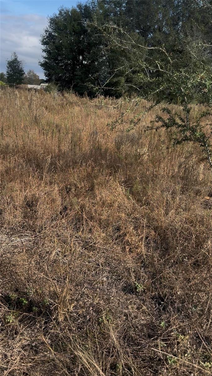 RAINBOW PARK UNIT 3 - Land