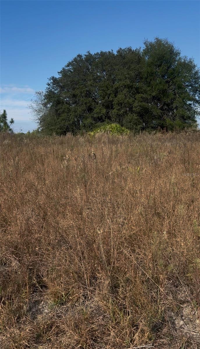 RAINBOW PARK UNIT 3 - Land