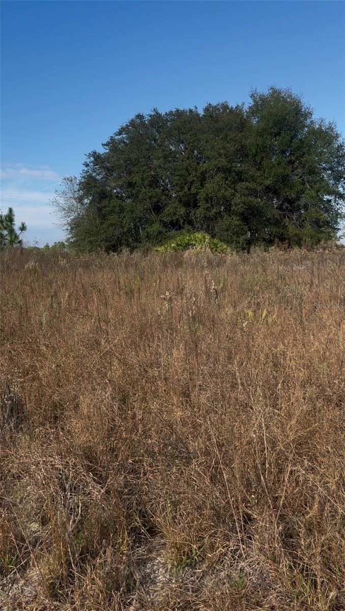 RAINBOW PARK UNIT 3 - Land