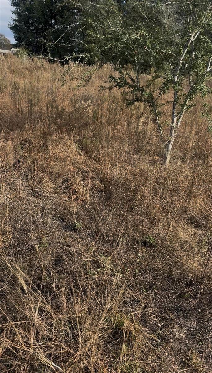 RAINBOW PARK UNIT 3 - Land