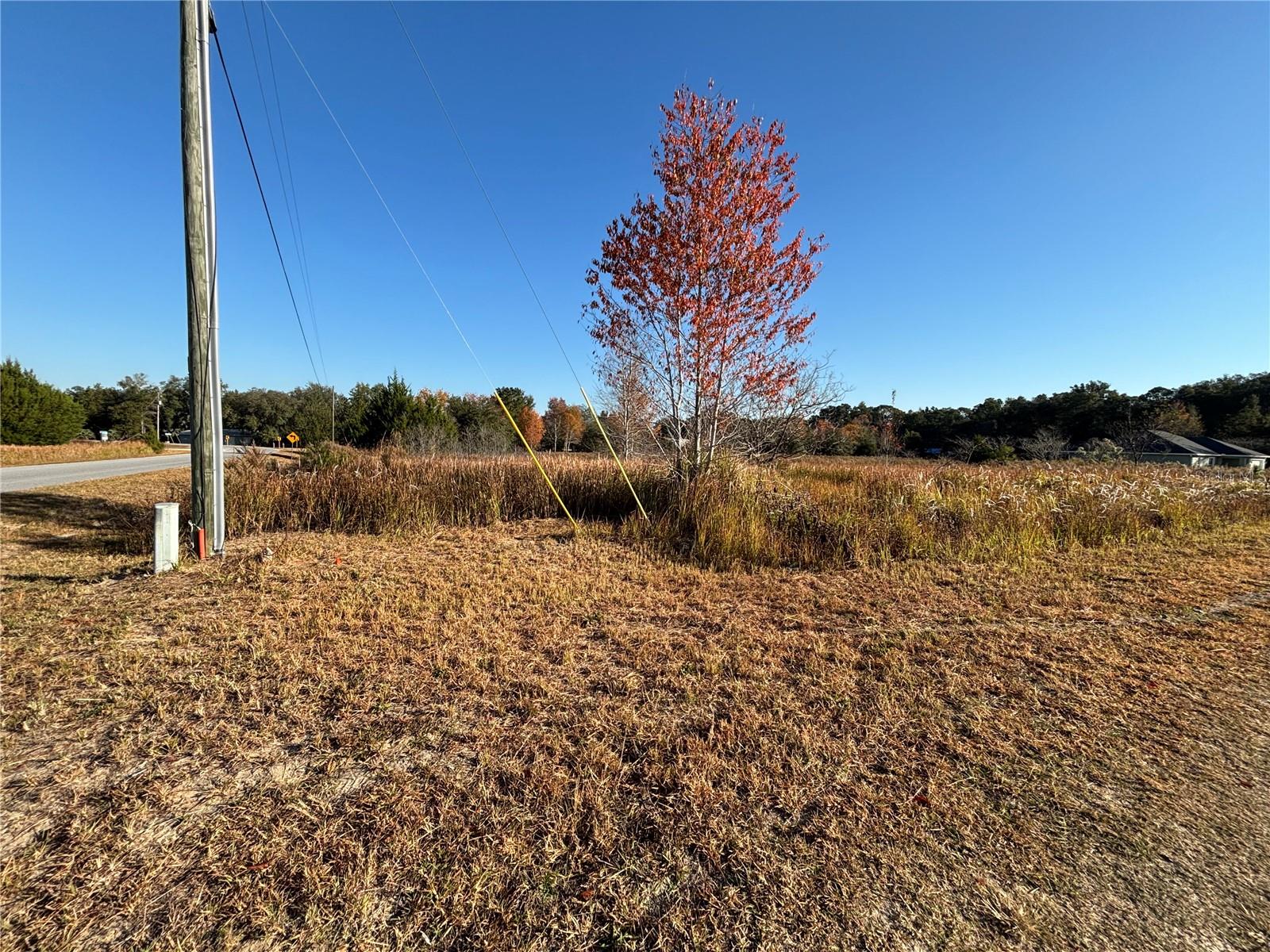 RAINBOW PARK UN 02 - Land