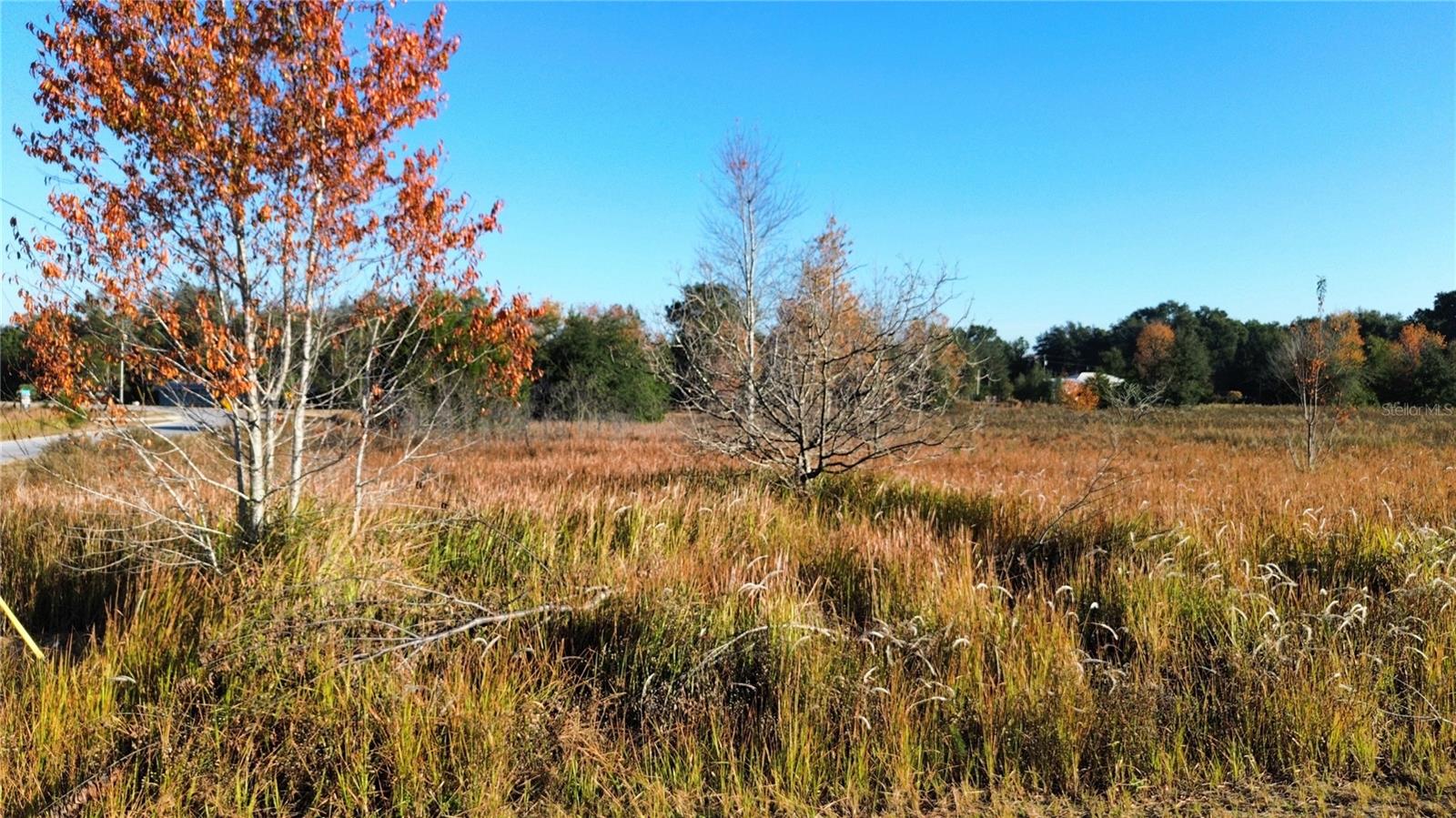 RAINBOW PARK UN 02 - Land