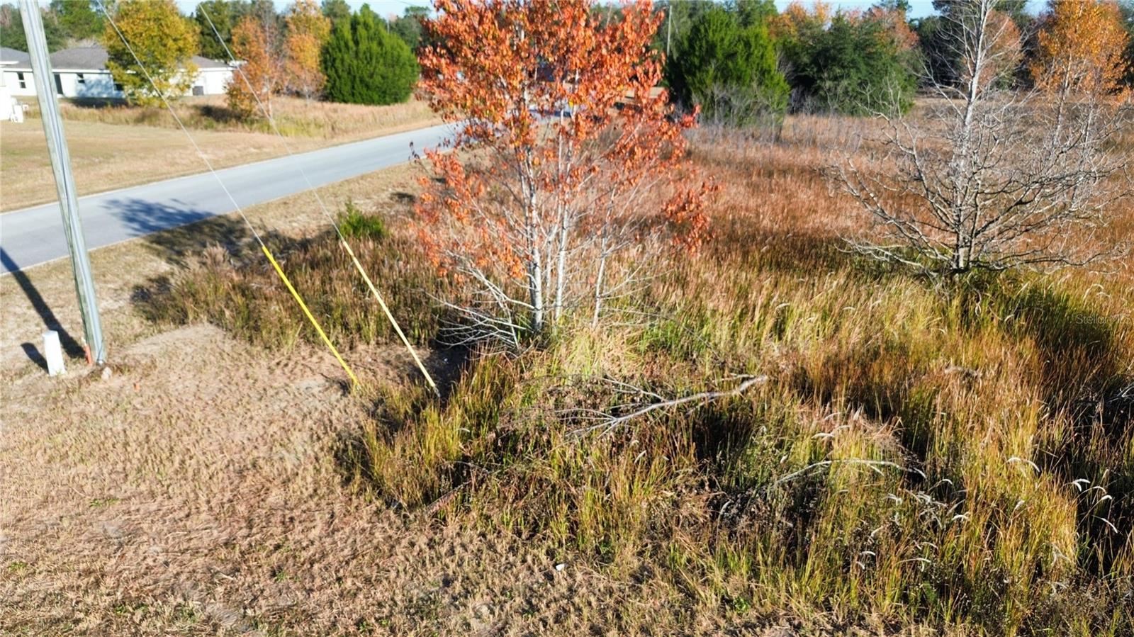 RAINBOW PARK UN 02 - Land