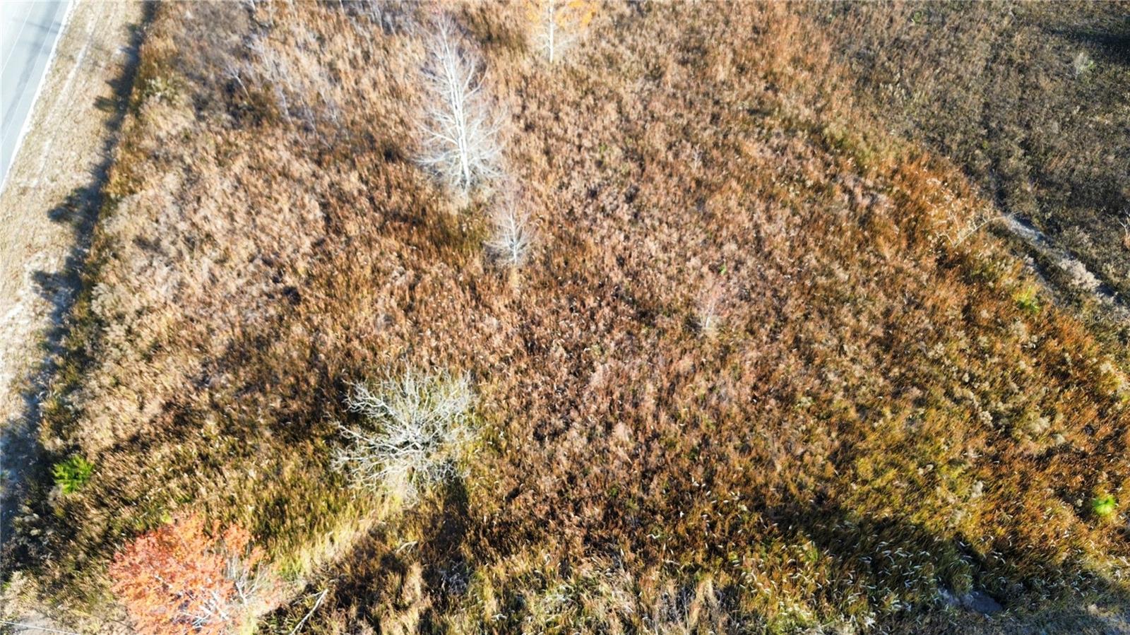 RAINBOW PARK UN 02 - Land