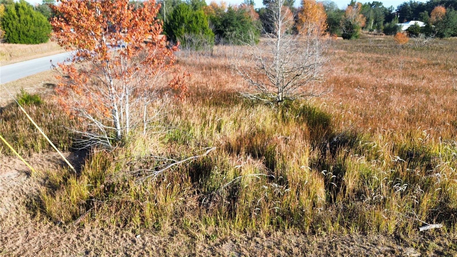 RAINBOW PARK UN 02 - Land